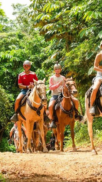 Horseback riding through tropical trails at Domitai Park