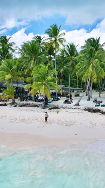 Saona Island beach with palm trees and white sand